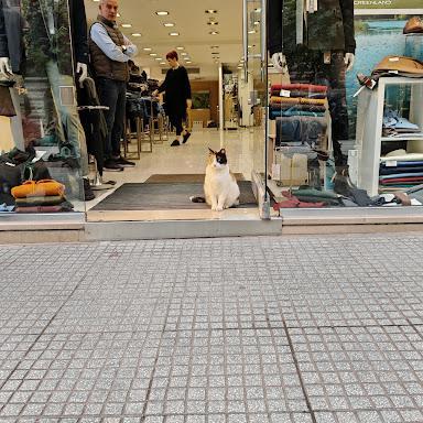 GREENLAND store front